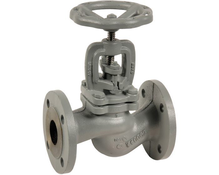Cast iron globe valve 479 RF PN16 steam DN15